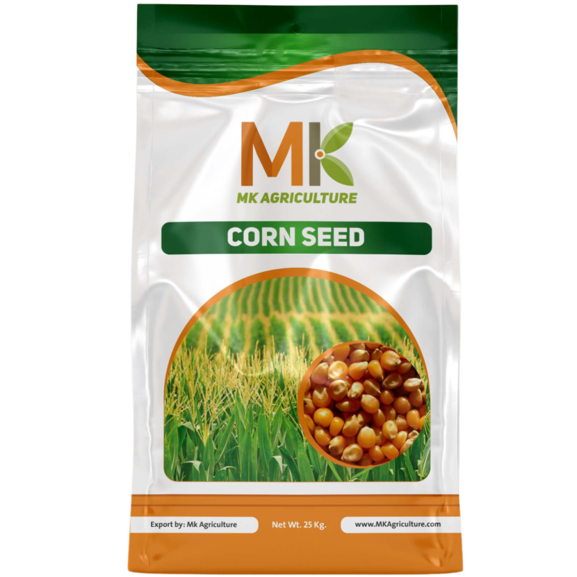 Corn Seed MK Agriculture